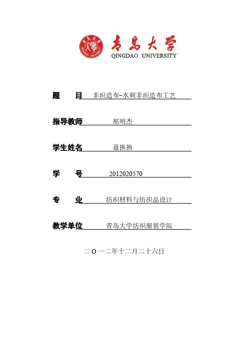 非织造布-水刺工艺