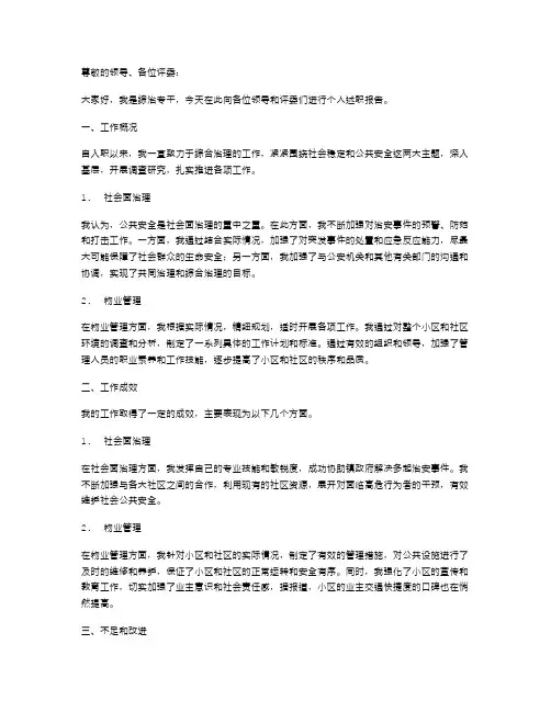 综治专干个人述职报告