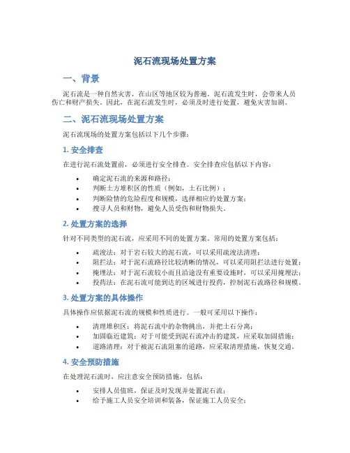 泥石流现场处置方案