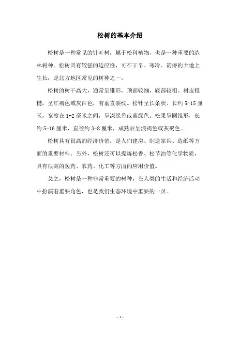 松树的基本介绍
