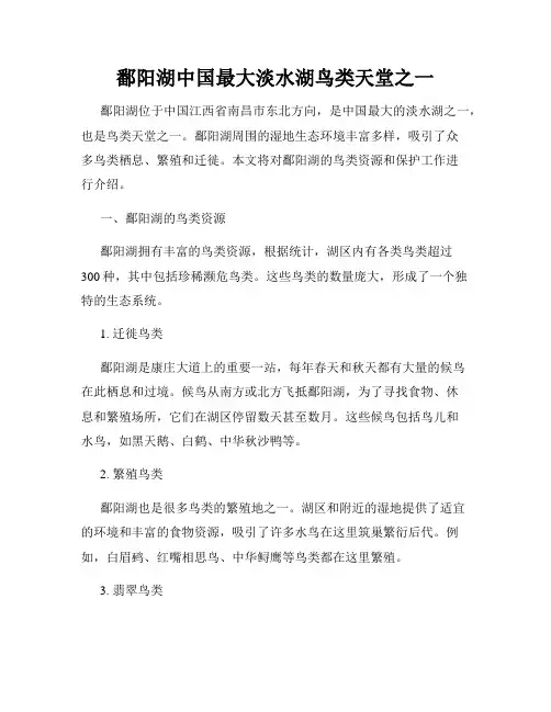 鄱阳湖中国最大淡水湖鸟类天堂之一