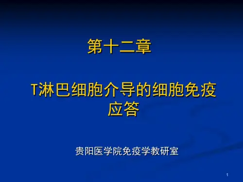 细胞免疫应答 PPT课件