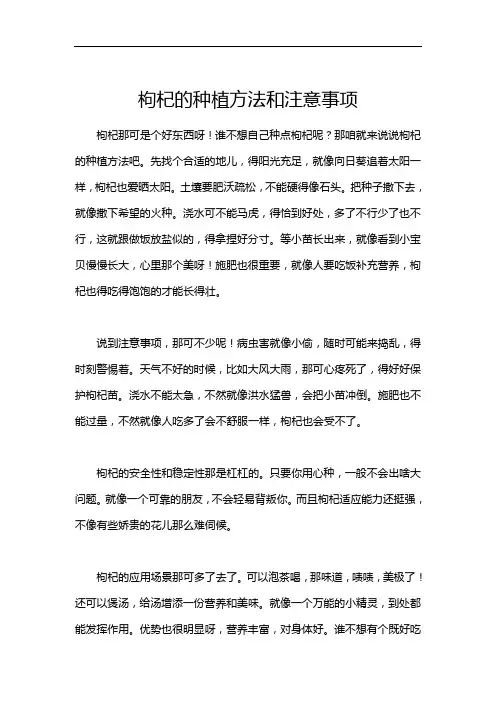 枸杞的种植方法和注意事项