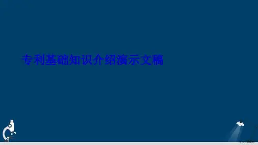 专利基础知识介绍演示文稿