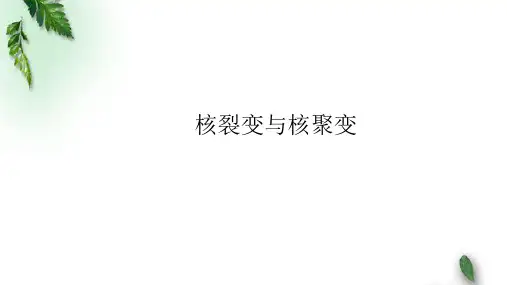 2022-2023年人教版(2019)新教材高中物理选择性必修3 第5章原子核第4节核裂变与核聚变