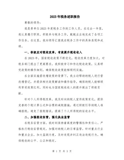 2023年税务述职报告