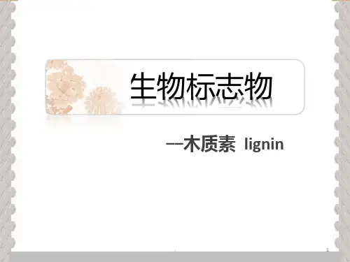 生物标志物PPT课件