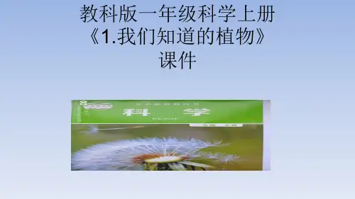 教科版一年级科学上册全册教学课件ppt