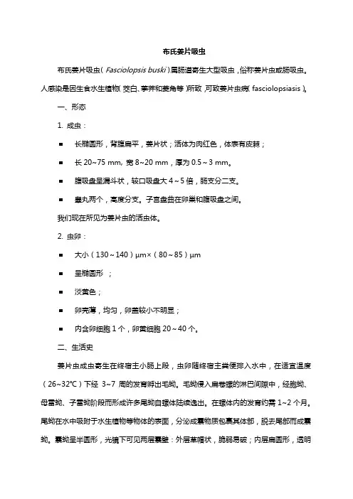 布氏姜片吸虫