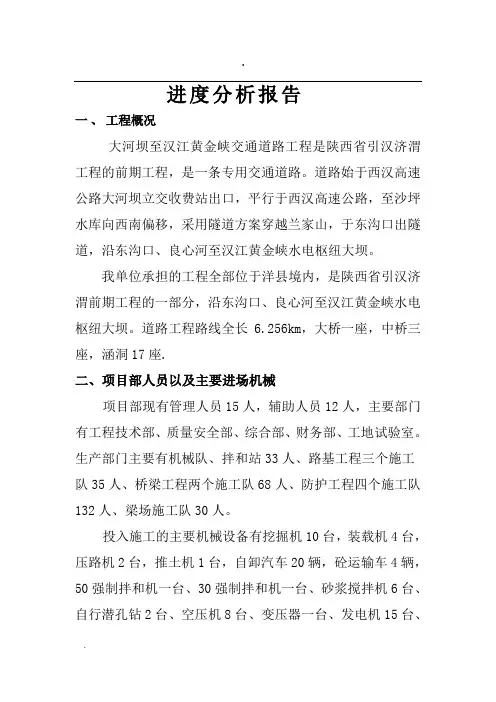 施工进度分析报告