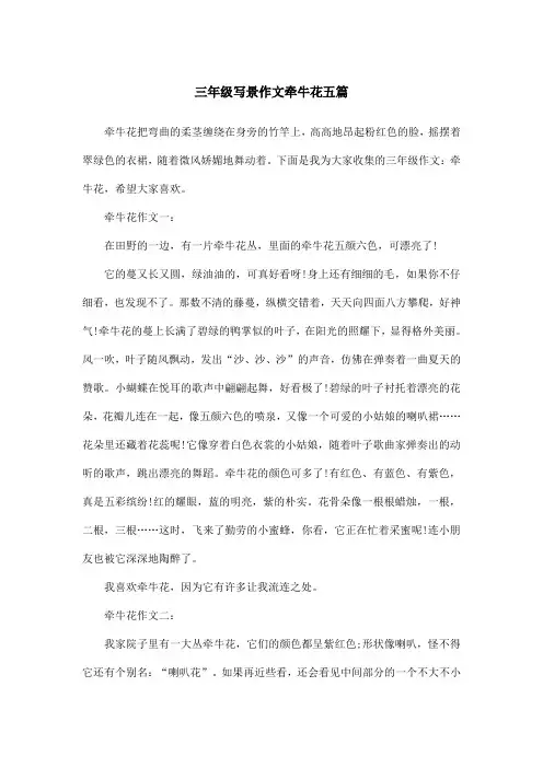 三年级写景作文牵牛花五篇