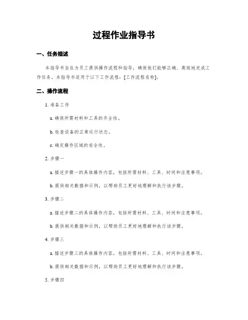 过程作业指导书