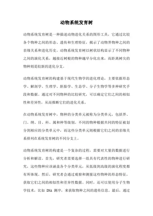 动物系统发育树