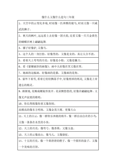 像什么又像什么造句三年级