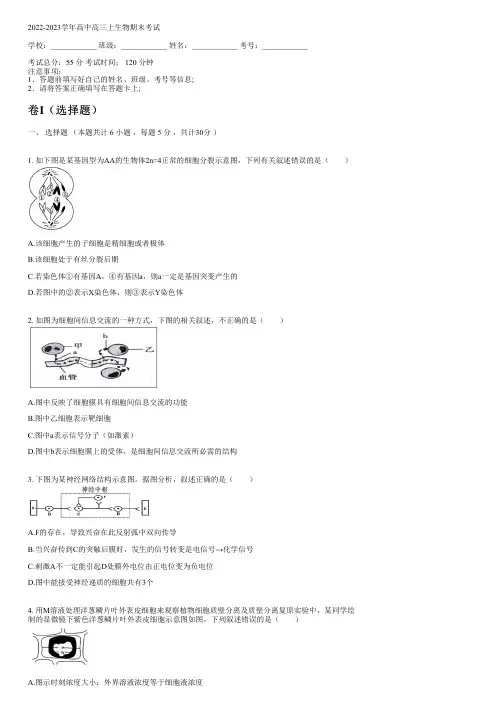 2022-2023学年人教版高三上生物期末考试(含解析)