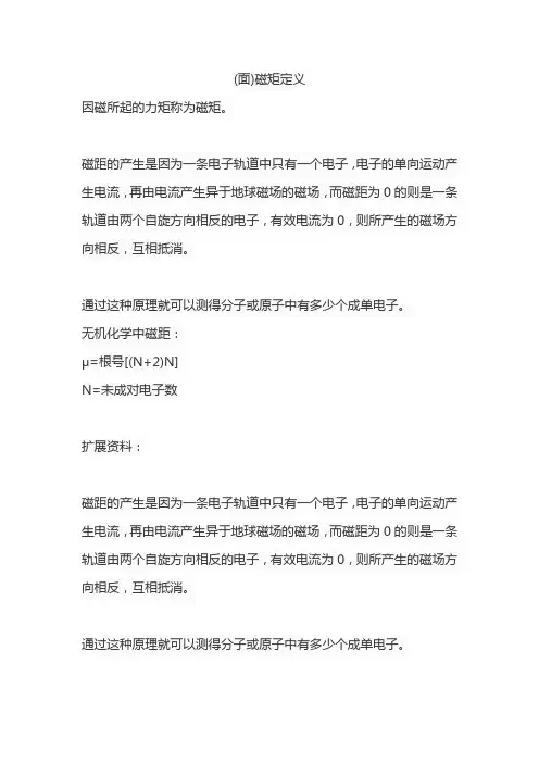 (面)磁矩定义