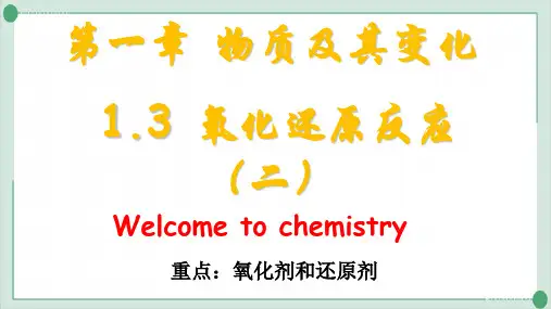 人教版教材《物质及其变化》完美课件1