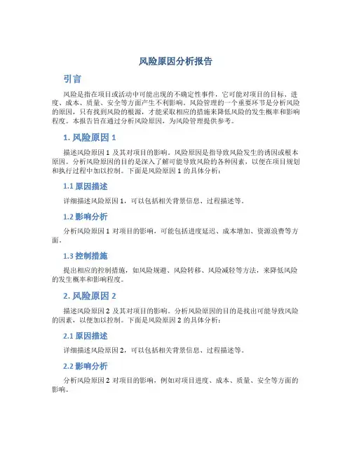 风险原因分析报告