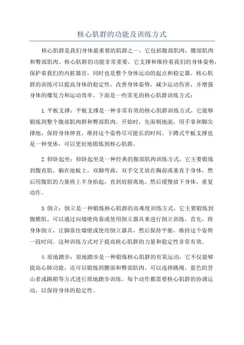 核心肌群的功能及训练方式
