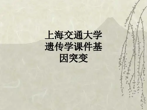 上海交通大学遗传学课件基因突变