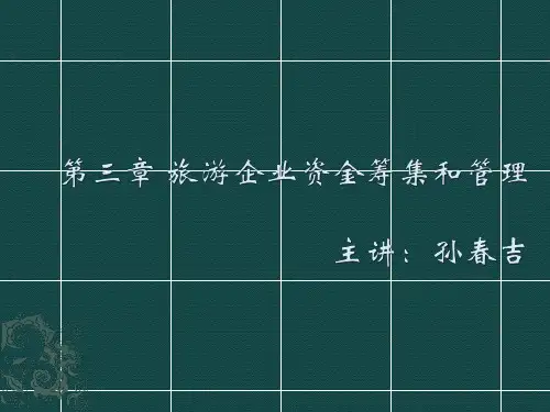孙老师旅游企业投资与管理