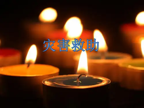 毛概演讲ppt