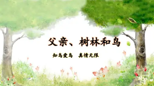 部编版三年级语文上册第22课《父亲、树林和鸟》优质课件