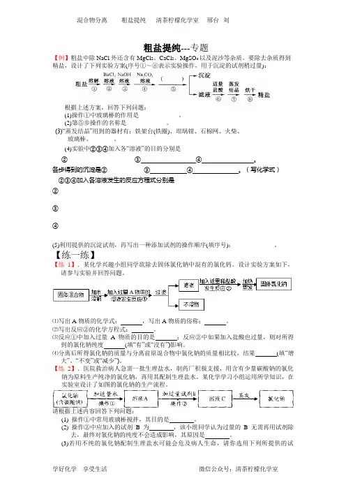 混合物分离经典--粗盐提纯---专题