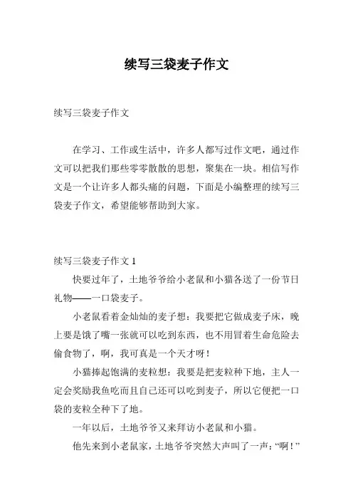 续写三袋麦子作文