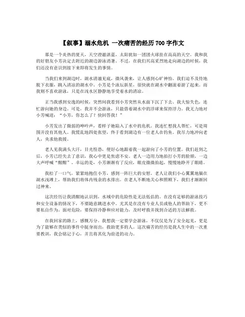 【叙事】溺水危机 一次痛苦的经历700字作文