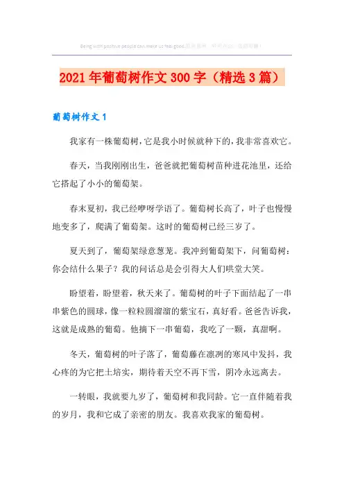 2021年葡萄树作文300字(精选3篇)