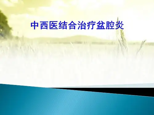 中西医结合治疗盆腔炎-PPT