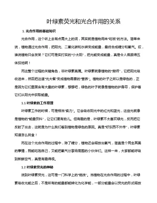 叶绿素荧光和光合作用的关系