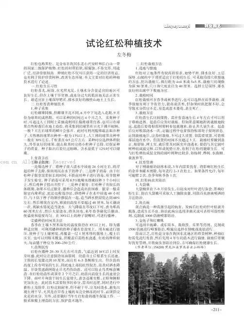 试论红松种植技术
