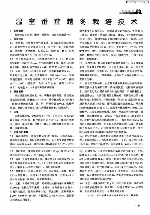 温室番茄越冬栽培技术