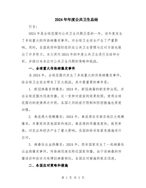2024年年度公共卫生总结