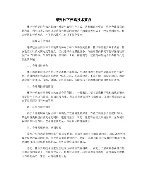 探究林下养鸡技术要点
