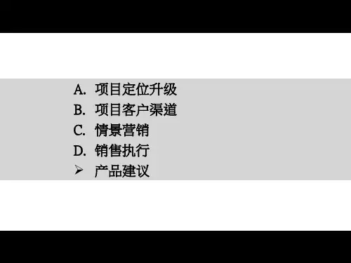 伟业北京独墅逸致第二次项目营销推广方案