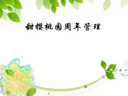 甜樱桃周年管理汇总