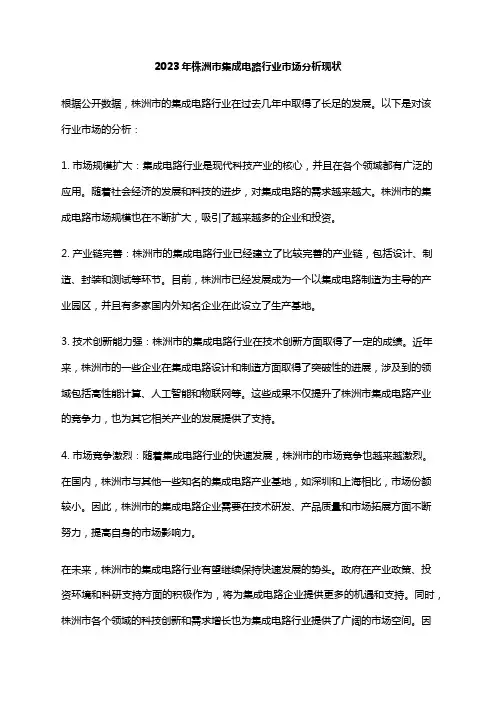 2023年株洲市集成电路行业市场分析现状