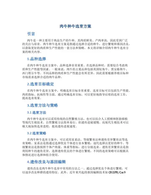 肉牛种牛选育方案