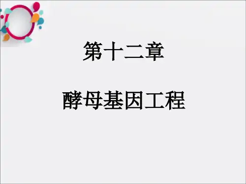 《酵母基因工程》PPT课件