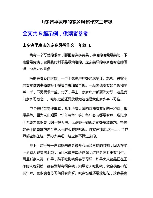 山东省平度市的家乡风俗作文三年级