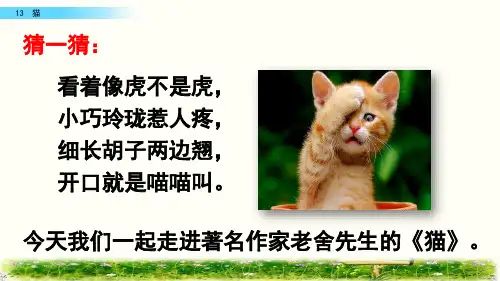 人教部编版小学四年级语文下册《猫》名师教学课件