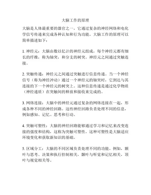 大脑工作的原理