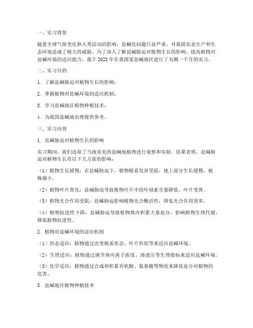 盐碱胁迫实习报告