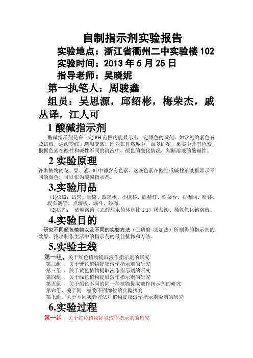探究报告
