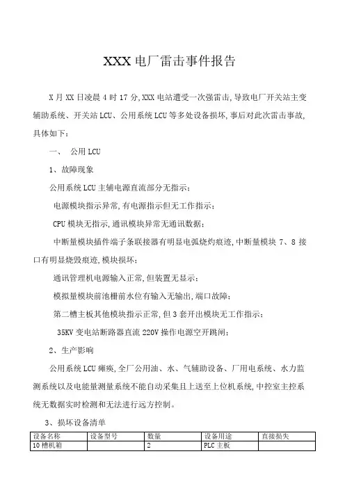 电厂雷击事件总结报告