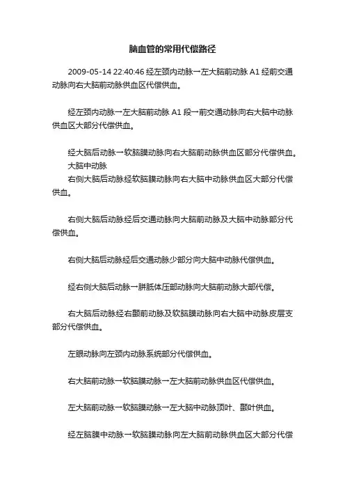 脑血管的常用代偿路径