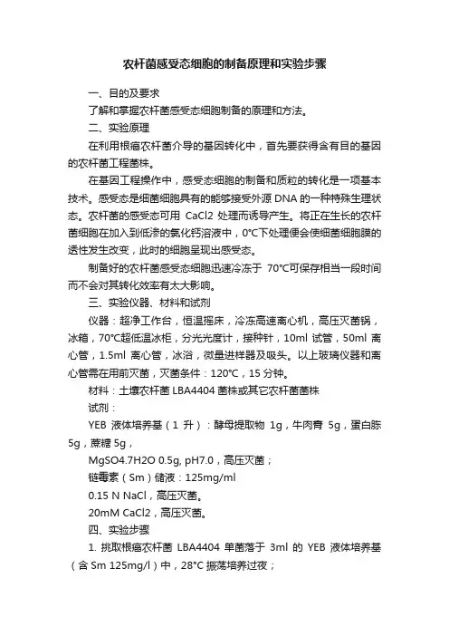 农杆菌感受态细胞的制备原理和实验步骤